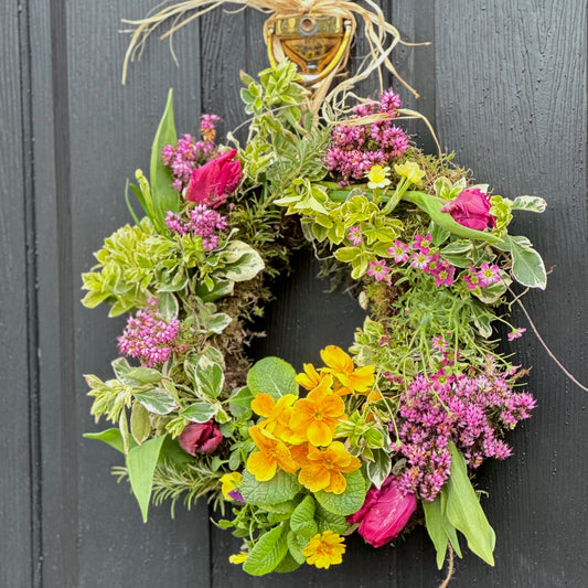 Seasonal living wreath