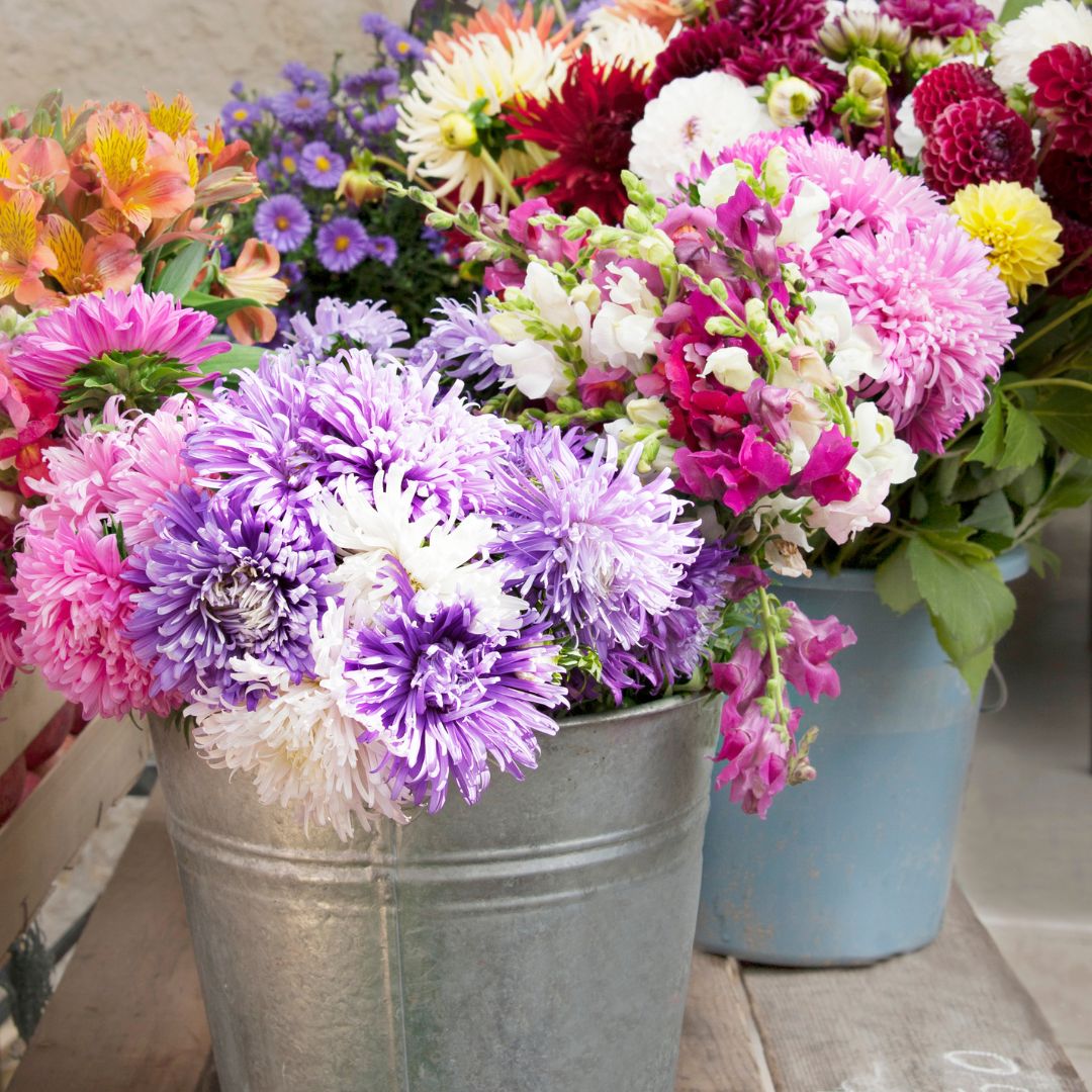 DIY bloom buckets